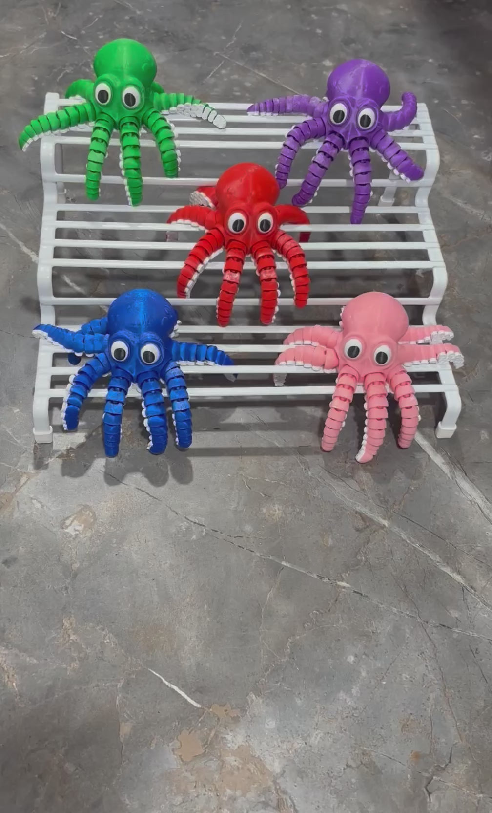 Colorful Octopus