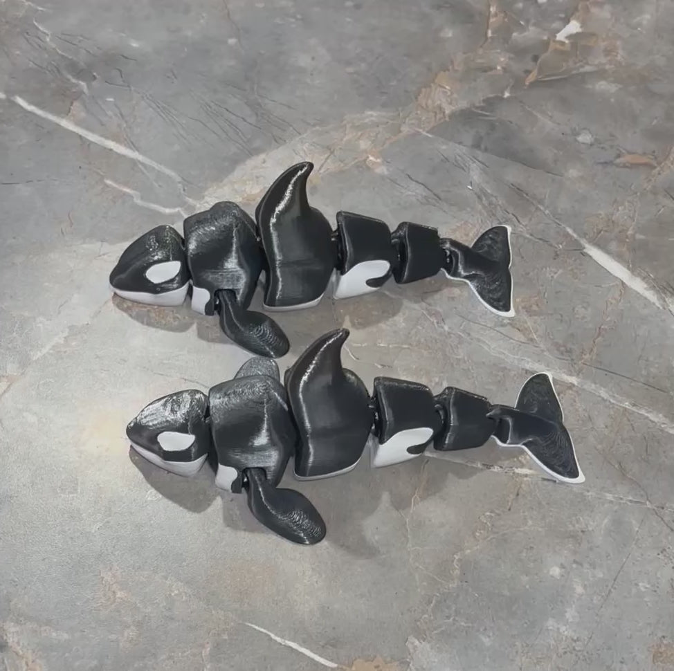 Killer Whale